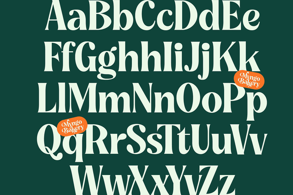 Myngo Bakery Modern Serif Font, a Serif Font by timelesstype.co (Photo 12 of 20)
