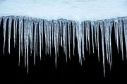 Icicles isolated from background, a Nature Photo by Countryside life (Thumbnail 10 of 22)