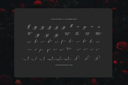 Avilantery Elegant Calligraphy, a Script Font by gracetype_studio (Thumbnail 12 of 12)