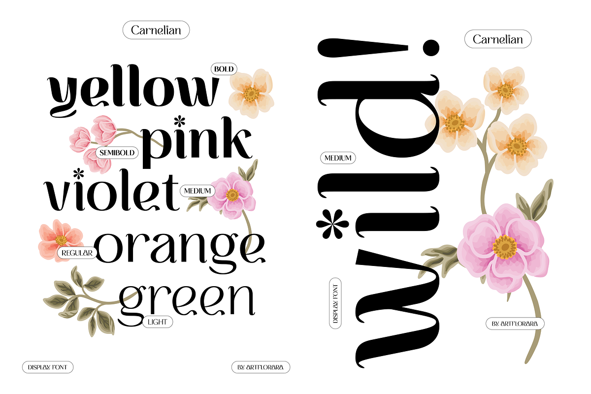 CARNELIAN - Display Variable Type, a Sans Serif Font by Artflorara (Photo 5 of 15)