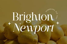 Brigton Newport Serif Font