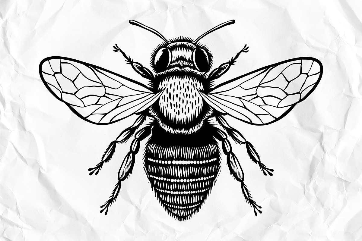 Honey Bee SVG Clipart for Stickers, an Animal Illustration by VectorPanther (Photo 5 of 7)