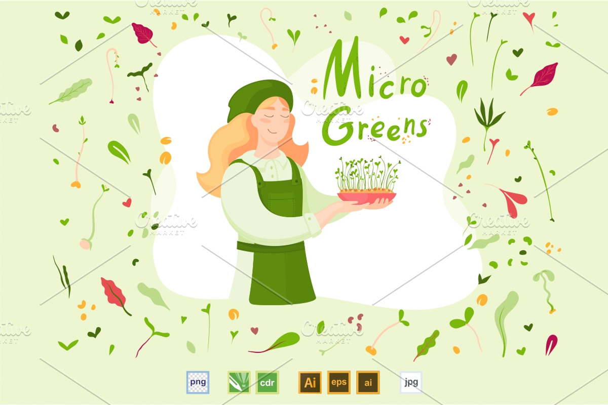 Microgreens Vector Set 1, a Food Illustration by ElenaKovalyova (Photo 18 of 21)