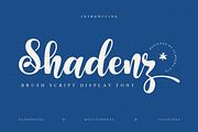 Shadenz - Script Display Font, a Script Font by Almeera Std (Thumbnail 1 of 10)