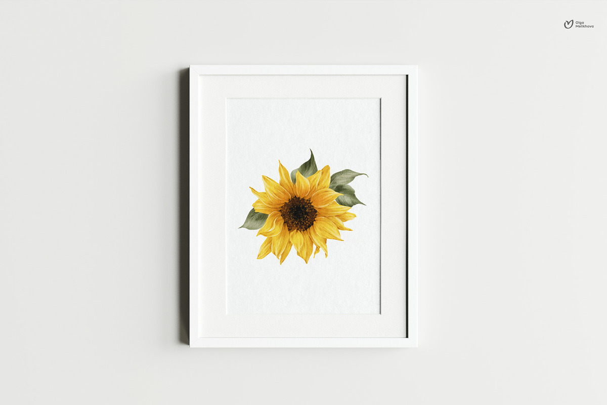 Sunny sunflowers, watercolor flowers, a Texture Illustration by ollalya (Photo 14 of 16)