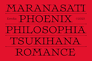 EREDIA, a Serif Font by Nasir Udin (Thumbnail 11 of 17)