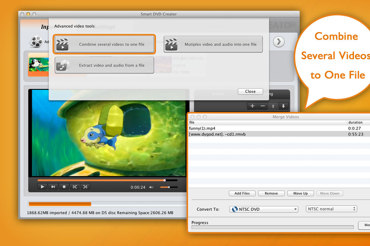 Smart DVD Creator for Mac, a Product Mockup by EffectMatrix (Photo 4 of 6)