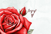 Elegant Roses Watercolor Clipart Set, a Decorative Illustration by Loony Dream Designs (Thumbnail 4 of 4)