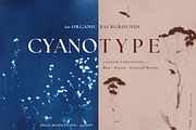 CYANOTYPE Botanical Backgrounds, a Background Graphic by Alisovna (Thumbnail 1 of 15)