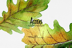 Autumn Clip Art: ACORNS Watercolor