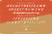 Vintage Style - Bold Script Font, a Script Font by StringLabs (Thumbnail 14 of 15)