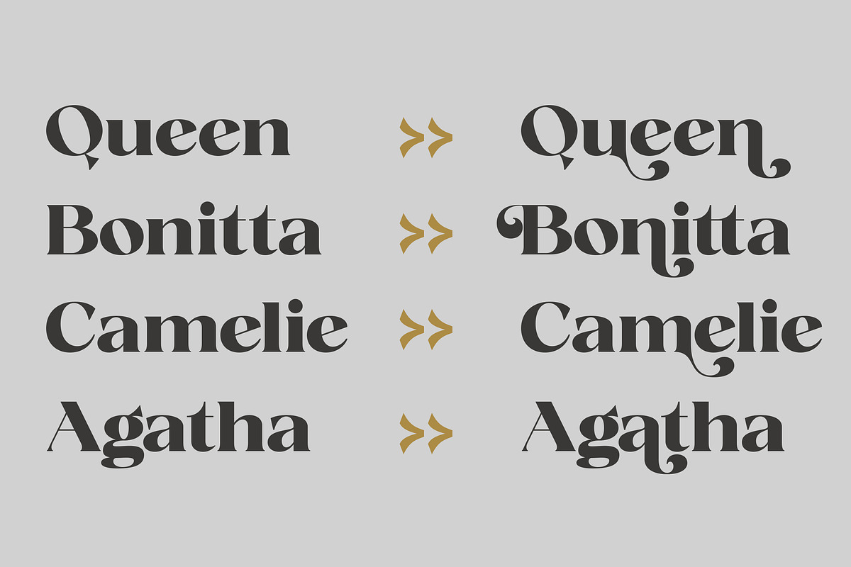 Fanilex, a Serif Font by Propertype (Photo 14 of 16)