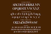 Belinda Modern Ligature Serif, a Serif Font by Alfinart (Thumbnail 10 of 11)