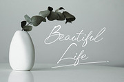 Chick Budapest Signature Font, a Script Font by UICreative (Thumbnail 4 of 5)