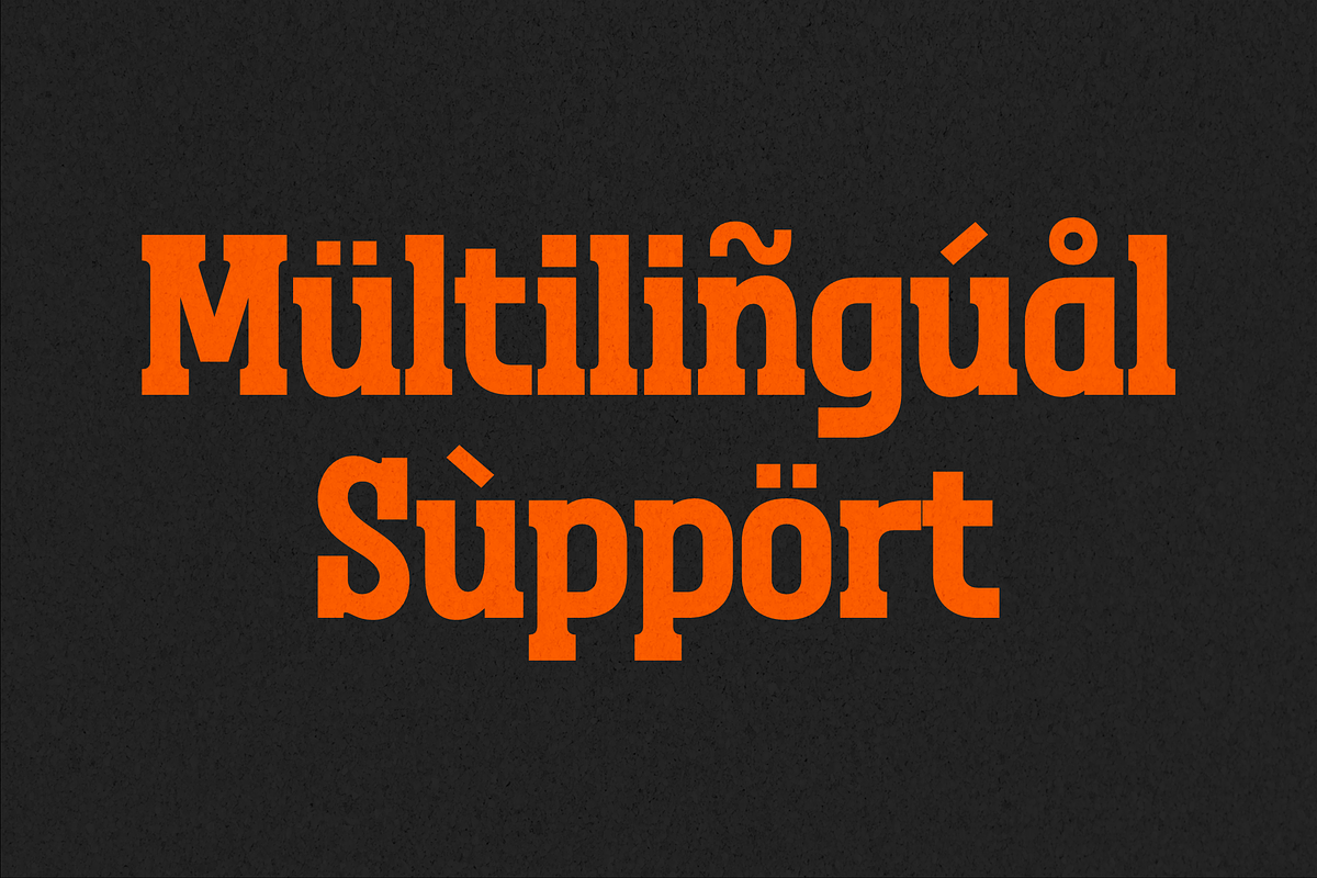 Megolan New Display Sans Serif Font, a Sans Serif Font by Storytype Studio (Photo 10 of 15)