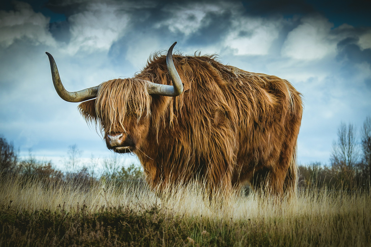 300 Professional Lightroom Presets, an Action Add-On by Madison Colt Studios (Photo 19 of 29)