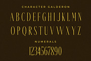 Galderon A Display Serif Font, a Serif Font by Storytype Studio (Thumbnail 13 of 15)