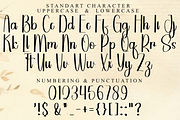 Starlight, a Handwritten Font by FreshTypeINK (Thumbnail 7 of 8)
