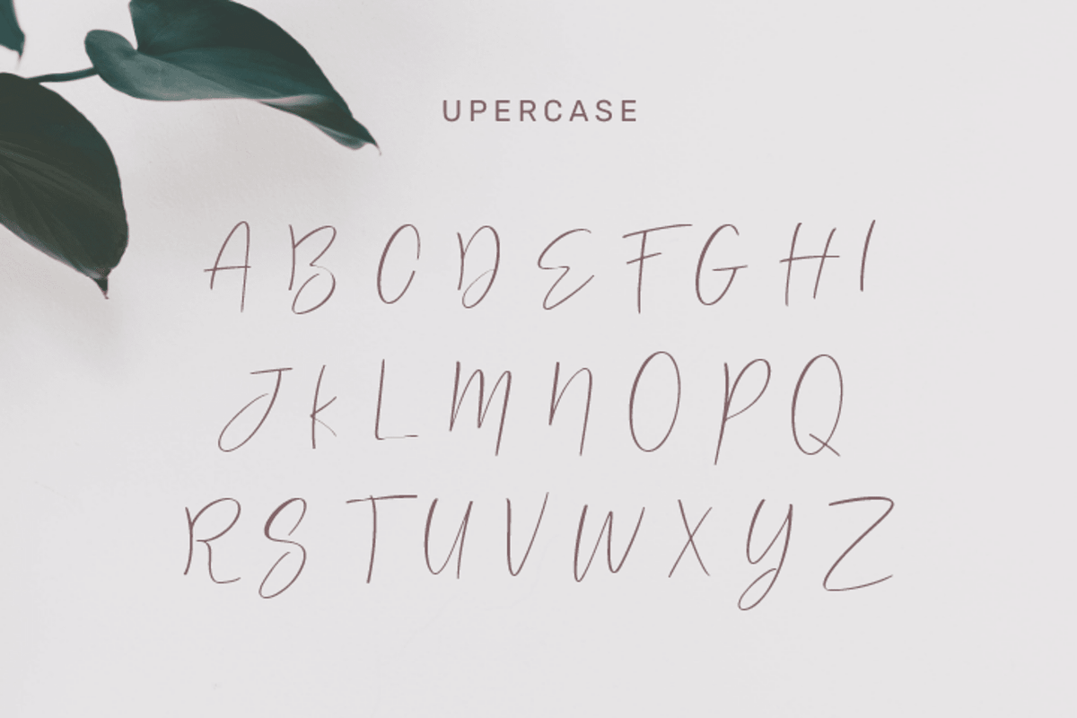 Cinthia Bloom: Elegant Font, a Handwritten Font by Jogiia Digital (Photo 2 of 5)