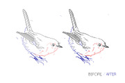 Infinito Ballpoint Pen Brushes, a Brush Add-On by Side Project (Thumbnail 4 of 7)