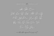 Sieralova - A Beauty Handwritten, a Script Font by Walkeren (Thumbnail 11 of 16)