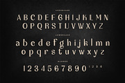 Malchis – Luxury Art Deco Font, a Sans Serif Font by Krismagraph (Thumbnail 10 of 12)