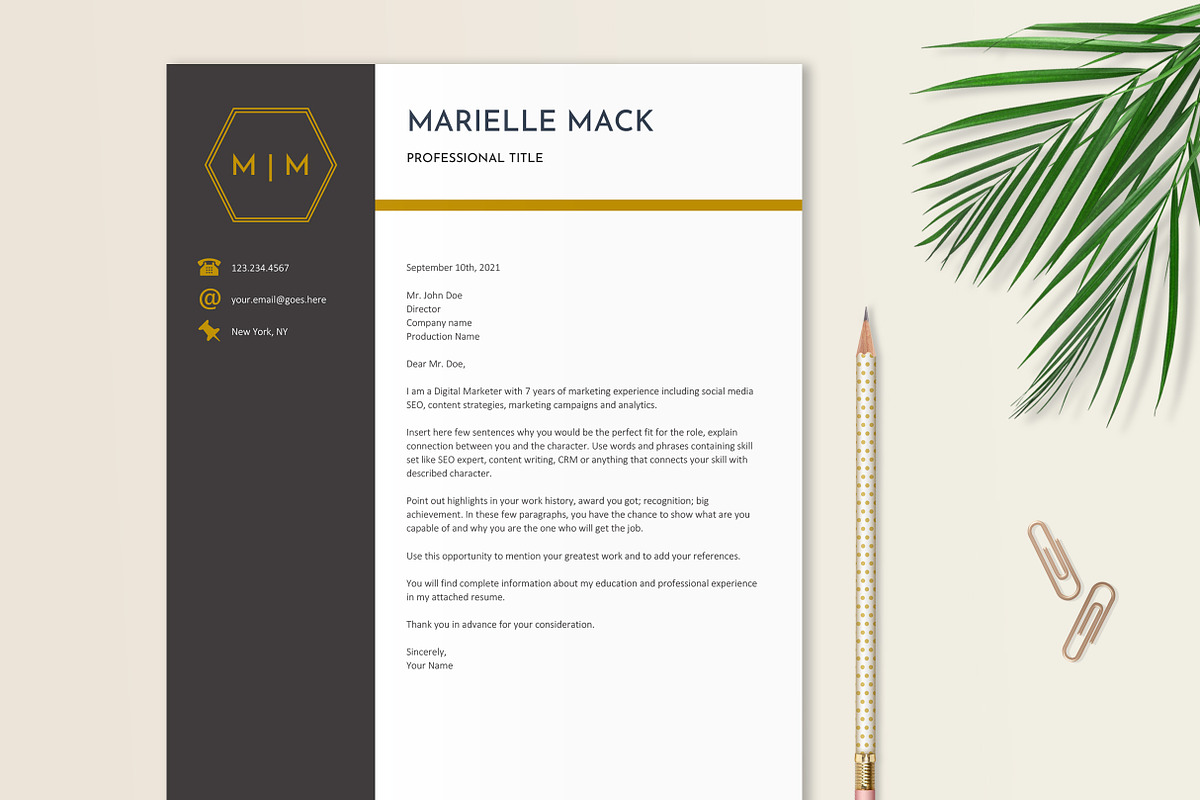 Elegant Resume Template, a Resume Template by Stanin Studio (Photo 5 of 10)