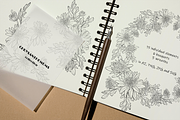 Chrysanthemum line art collection, a Decorative Illustration by DamriNa art (Thumbnail 2 of 9)