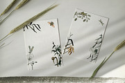 Bundle Japan style!, a Decorative Illustration by KomannaArt (Thumbnail 18 of 22)