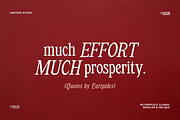 Retropicale - Classic Serif Font, a Serif Font by Unicode Studio (Thumbnail 10 of 18)