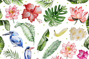 Hand Drawn watercolor TROPICS 2, an Object Graphic by Knopazyzy (Thumbnail 3 of 4)