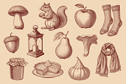 Vintage Autumn Illustrations, a Seasonal Illustration by Graphic Goods (Thumbnail 7 of 8)