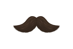 Fake Mustaches. Vector