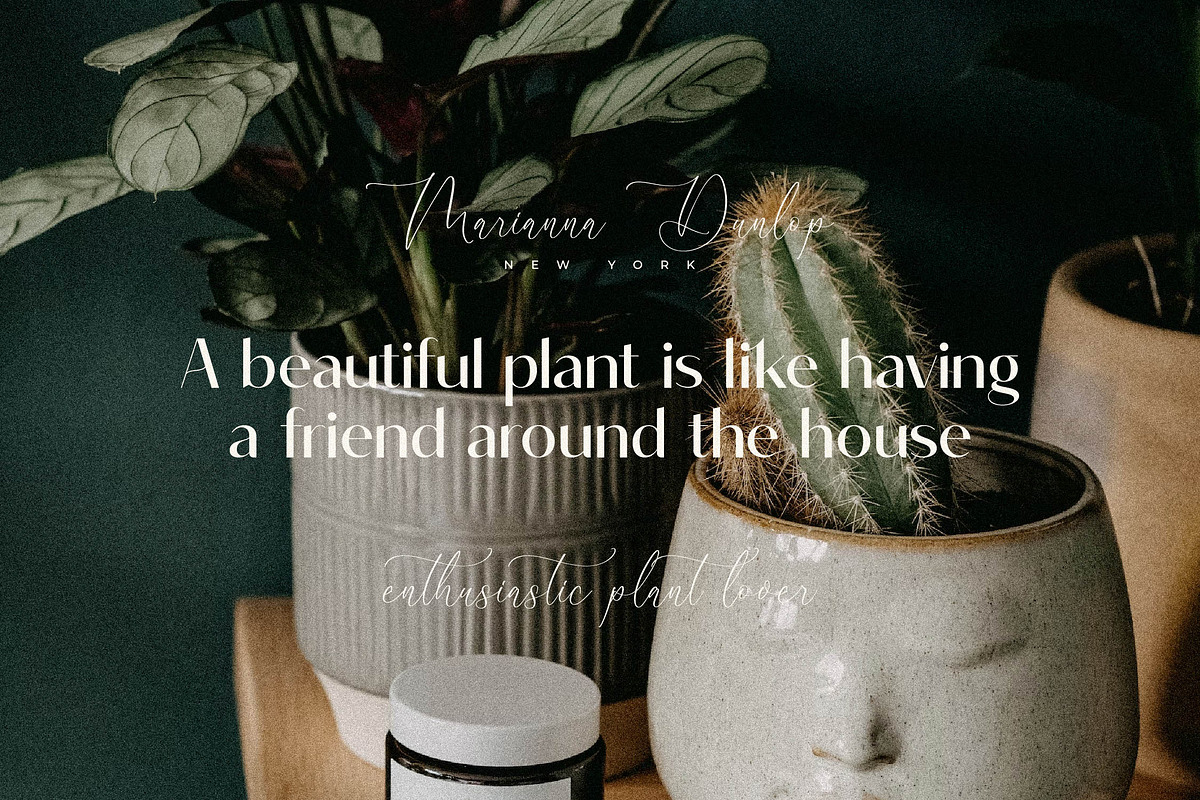 Robima Merttha Font Duo, a Script Font by Storytype Studio (Photo 5 of 15)