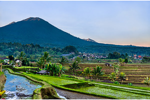Jatiluwih rice terraces on bali stock photo containing bali and, a Nature Photo by Leonid Andronov