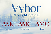Vyhor font family, a Sans Serif Font by vlad.berla (Thumbnail 3 of 8)