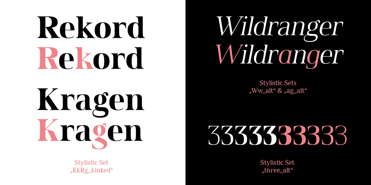Spitzkant, a Serif Font by Julien Fincker (Photo 5 of 10)