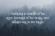 Seroja - Elegant Serif Font, a Serif Font by Aqeel_Art (Thumbnail 8 of 12)