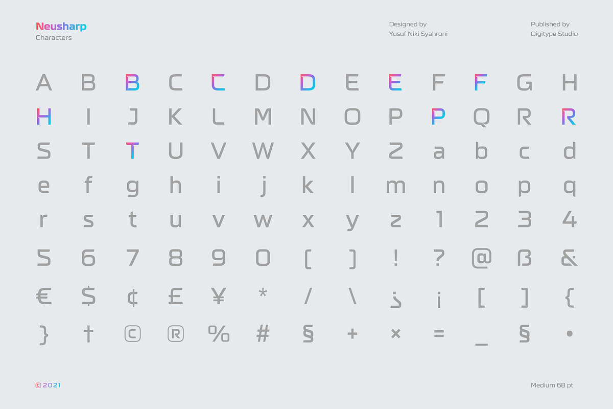 Neusharp Complete Family, a Sans Serif Font by Digitype Studio (Photo 3 of 12)