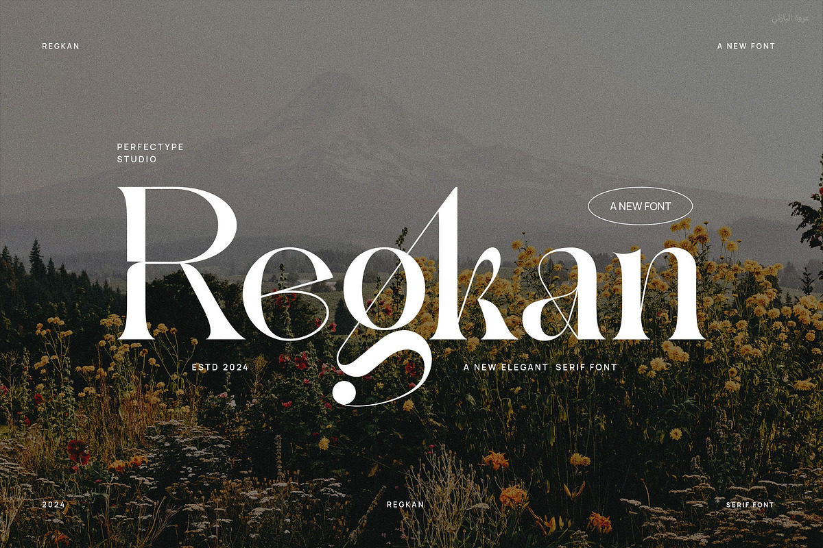 Regkan Elegant Ligature Serif Font T, a Serif Font by Perfectype (Photo 1 of 6)