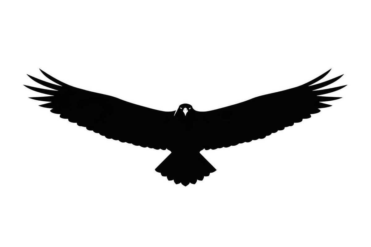 50 Flying Eagle Silhouette Vector Bu, an Illustration by Designs_River (Photo 51 of 51)