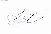 Seila, a Script Font by Papermode Co. (Thumbnail 1 of 12)