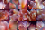 20 Soft Blurred Floral Backgrounds, a Background Graphic by Karisma Studio (Thumbnail 2 of 12)