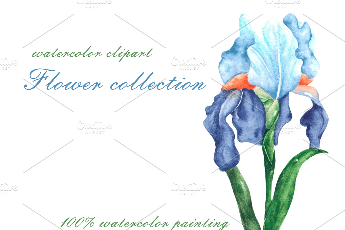 Blooming flowers watercolor clipart., an Illustration by SabinaWatercolorArt (Photo 5 of 8)