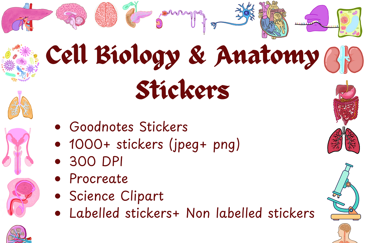 Biology & Anatomy goodnotes stickers, an Education Illustration by Noorist (Photo 1 of 32)