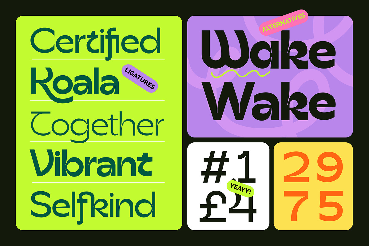 Klona Sans Serif, a Sans Serif Font by CCS Type (Photo 10 of 17)
