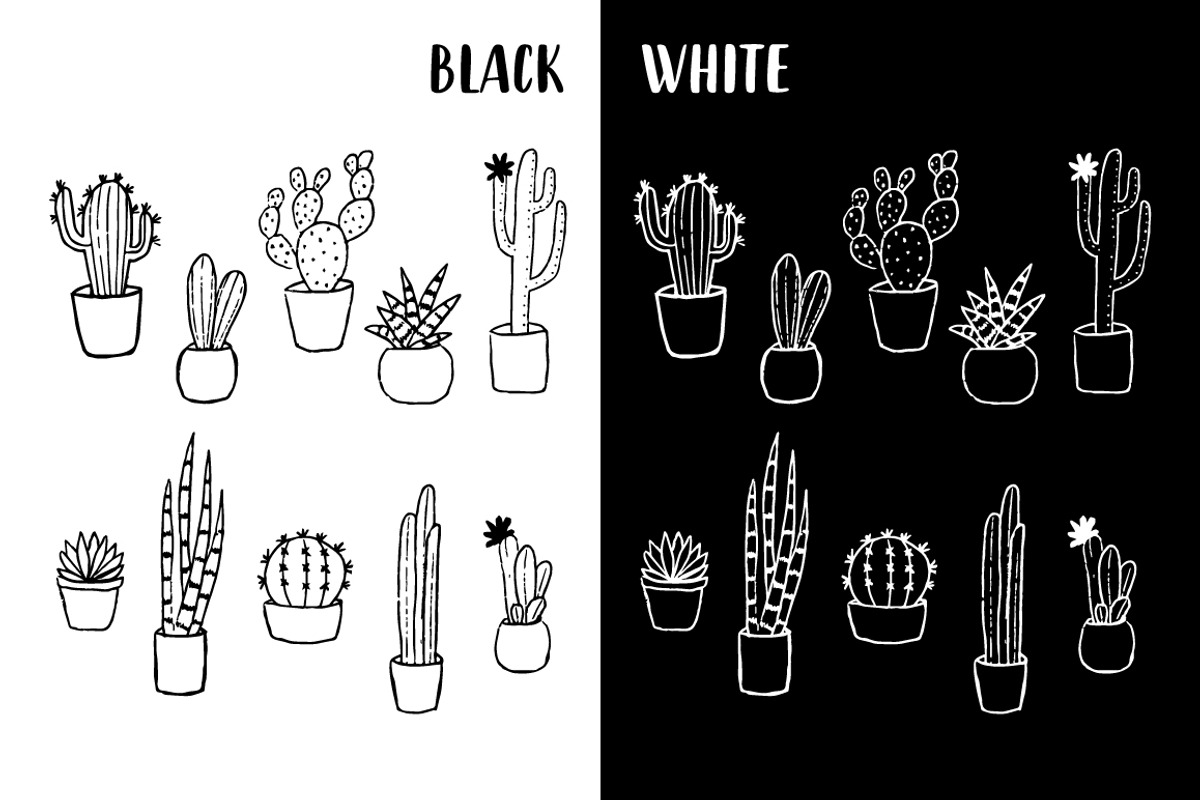 Vector Cacti and Succulents, a Decorative Illustration by 5August Art (Photo 3 of 7)