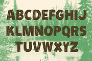 Scout - Vintage Style Display Font, a Script Font by jeffportaro (Thumbnail 2 of 3)