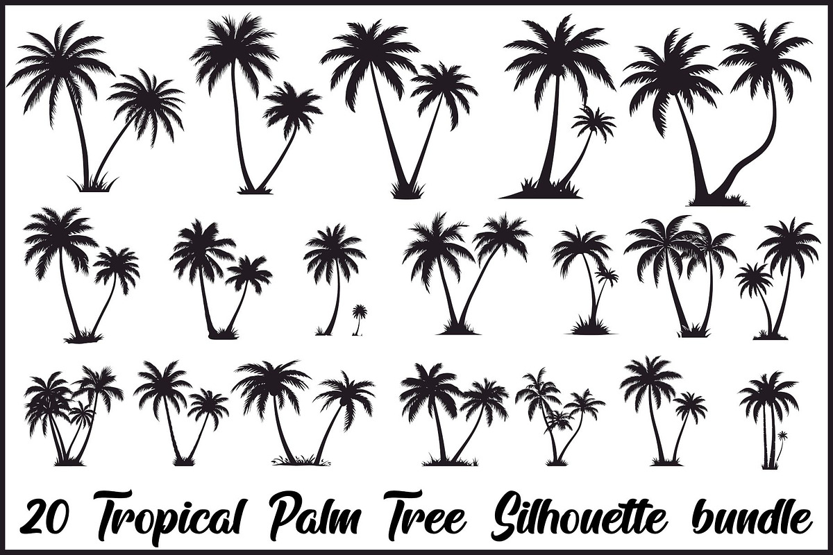 Palm Tree Vector Bundle Pack, an Illustration by Artivon (Photo 1 of 20)