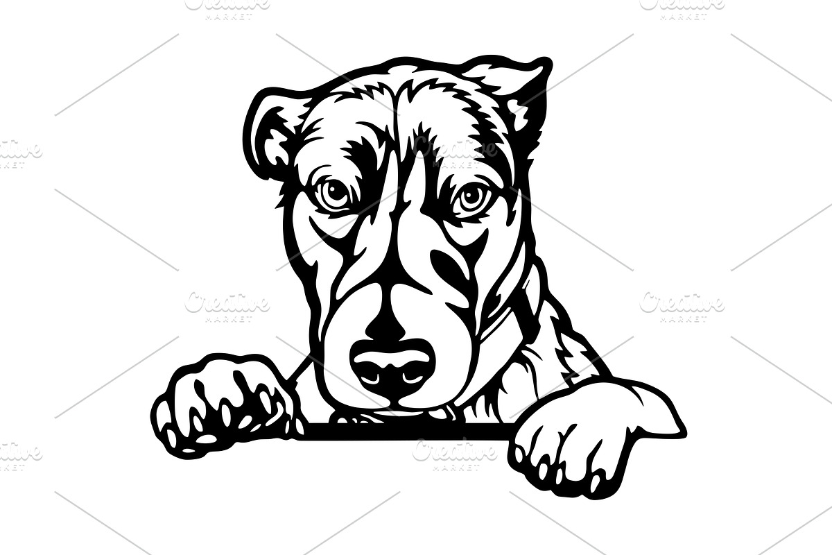 Jack Russell Terrier - Peeking Dogs, an Animal Illustration by Digital-Clipart